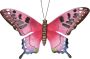 Merkloos Tuindecoratie vlinder van metaal roze zwart 37 cm Metalen schutting decoratie vlinders Dierenbeelden tuindecoratie - Thumbnail 2