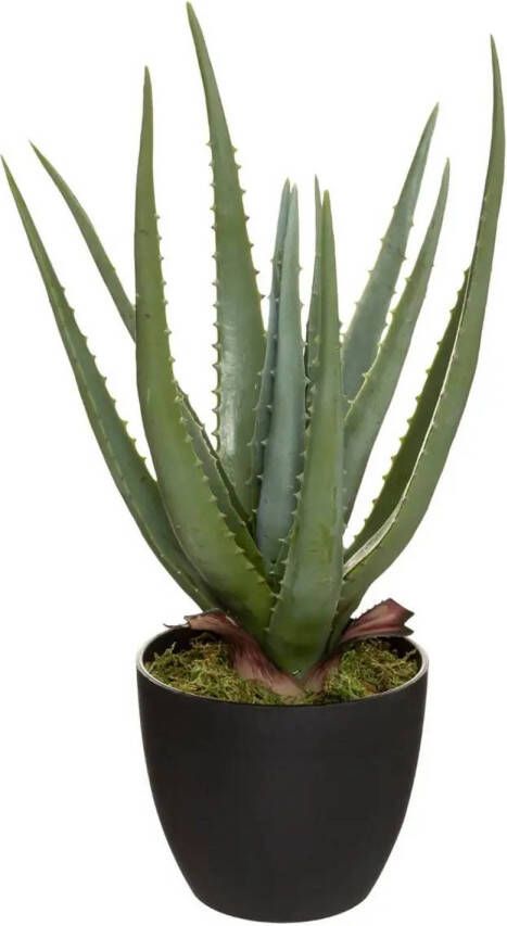 ATMOSPHERA Aloe vera kunstplant in pot van cement 42 cm Nepplanten Kunstplanten