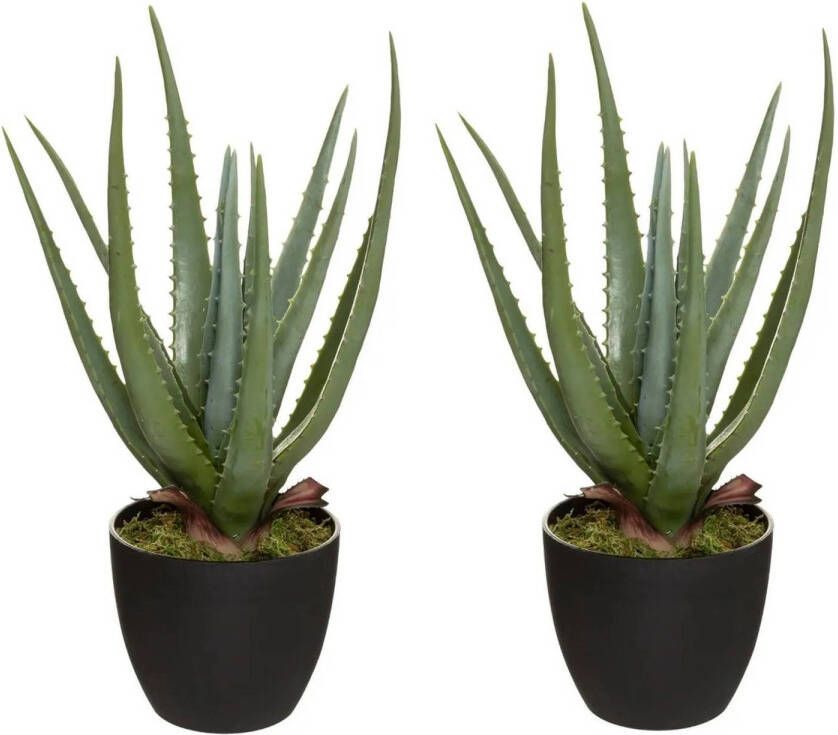 Atmosphera Set van 2x stuks Aloe kunstplanten in pot van cement 42 cm Kunstplanten