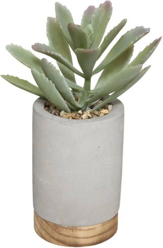 Atmosphera vetplant kunstplant in pot van cement grijs 20 cm Kunstplanten