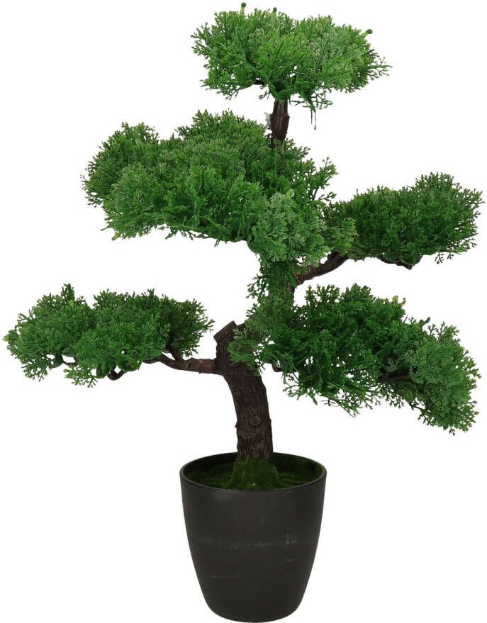 H&S Collection Kunstplant bonsai boompje in pot Japans decoratie 50 cm Type Tokio moss Kunstplanten