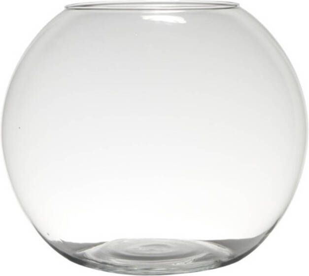 Hakbijl Glass Bellatio Design bol vaas terrarium D34 x H28 cm transparant glas Vazen