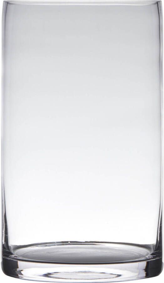 Hakbijl Glass Glazen bloemen cilinder vaas vazen 30 x 15 cm transparant Vazen