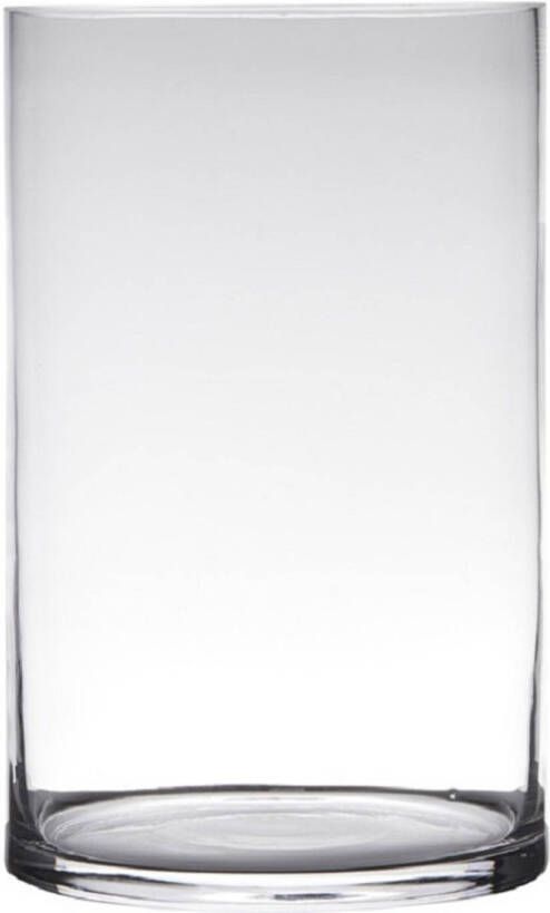 Hakbijl Glass Transparante home-basics cilinder vorm vaas vazen van glas 25 x 19 cm Vazen