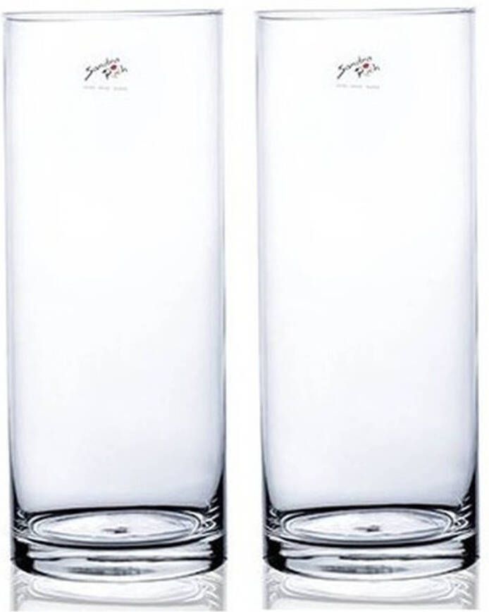 Merkloos 2x Glazen vaas transparant 12 x 30 cm Vazen