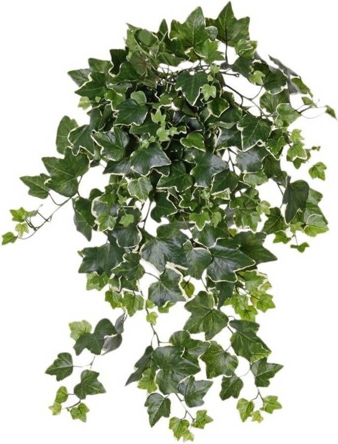Merkloos Groene witte Hedera Helix klimop kunstplant 65 cm voor buiten Kunstplanten