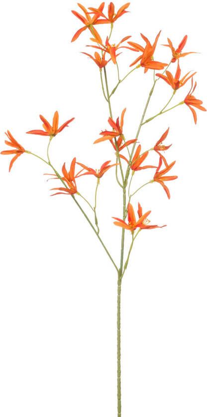 Merkloos Kunstbloem Star Flower 70cm oranje
