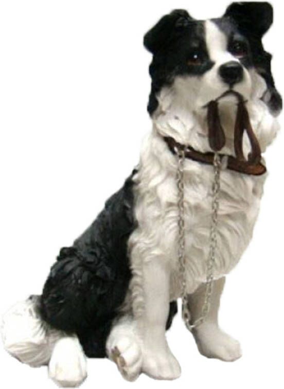 Merkloos Polystone tuinbeeld Border collie hondje 18 cm Beeldjes
