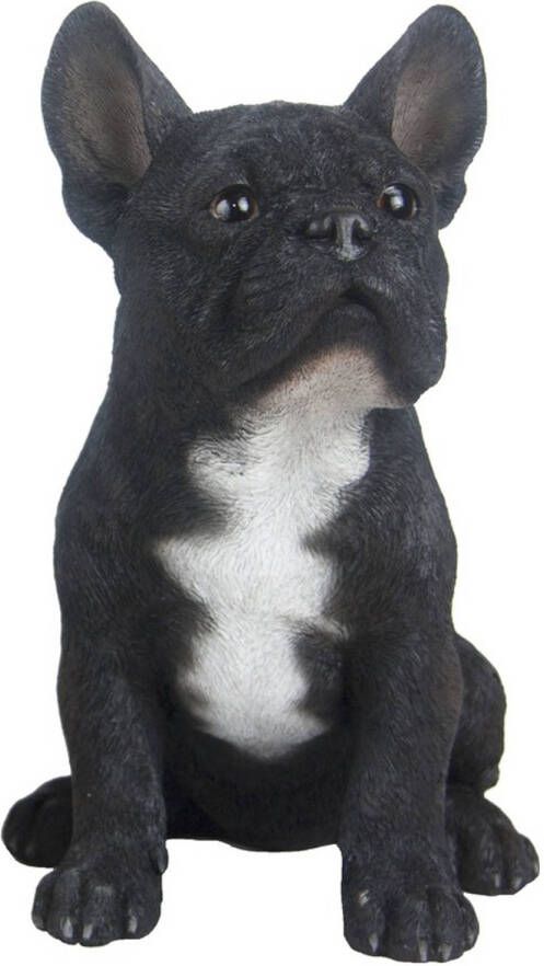 Merkloos Tuinbeeld Franse Bulldog hond zwart 29 cm Tuin decoratie dieren beelden Beeldjes