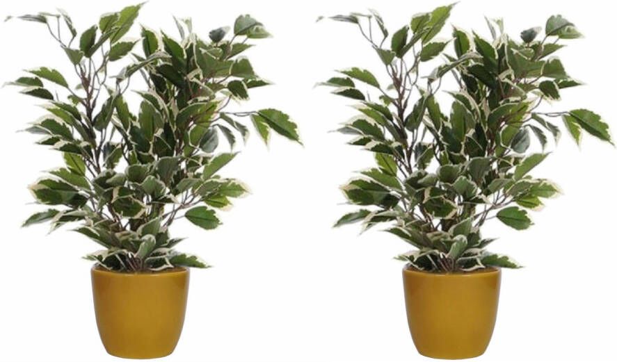 Mica Decorations 2x stuks groen witte ficus kunstplant 40 cm met plantenpot okergeel D13.5 en H12.5 cm Kunstplanten