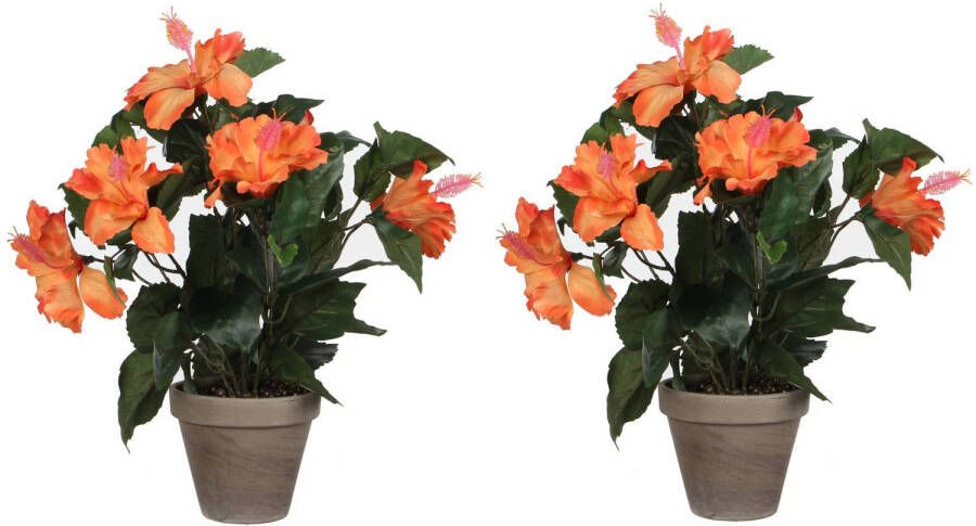 Mica Decorations 2x stuks hibiscus kunstplanten oranje in keramieken pot H40 x D30 cm Kunstplanten nepplanten met bloemen Kunstplanten