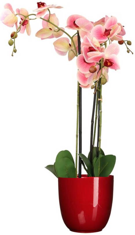 Mica Decorations Orchidee kunstplant roze 75 cm inclusief bloempot rood glans Kunstplanten