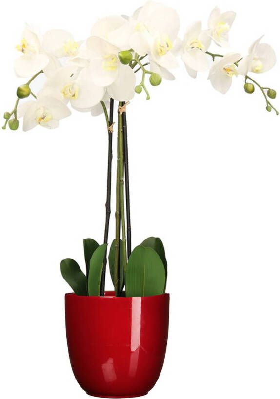 Mica Decorations Orchidee kunstplant wit 75 cm inclusief bloempot rood glans Kunstplanten