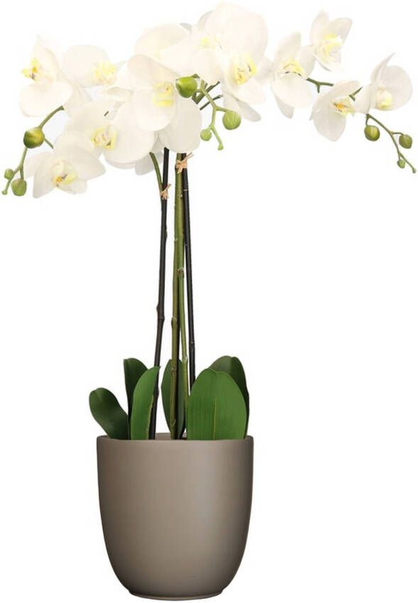 Mica Decorations Orchidee kunstplant wit 75 cm inclusief bloempot taupe mat Kunstplanten