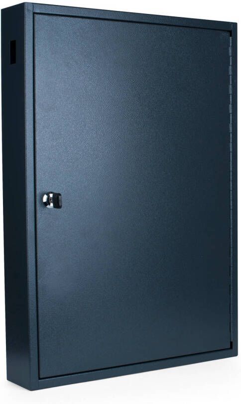 Pavo Sleutelkast Deluxe 100 haken 550x380x90mm
