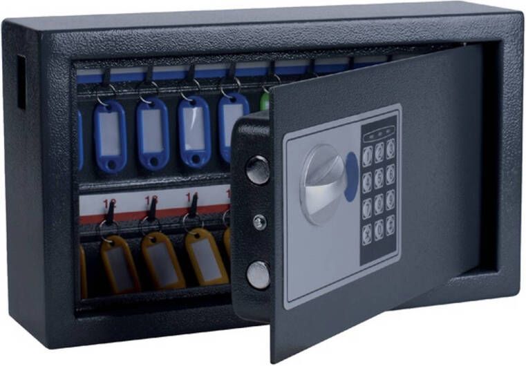Pavo Sleutelkast high security 20 haken 205x347x147mm