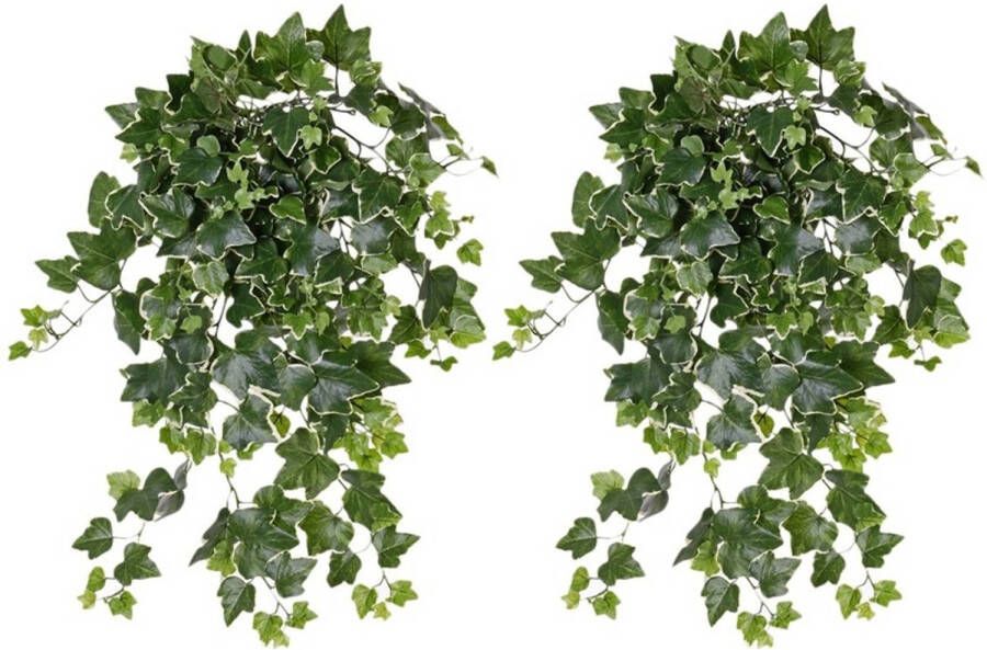 Shoppartners 2x Groene witte Hedera Helix klimop kunstplant 65 cm voor buiten Kunstplanten