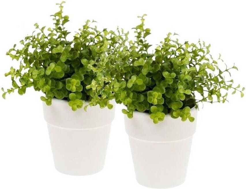 Shoppartners 2x Kunstplant eucalyptus groen in witte pot 22 cm Kunstplanten