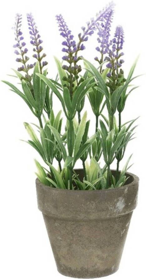 Merkloos Groene lilapaarse Lavandula lavendel kunstplanten 25 cm met grijze beton pot Kunstplanten