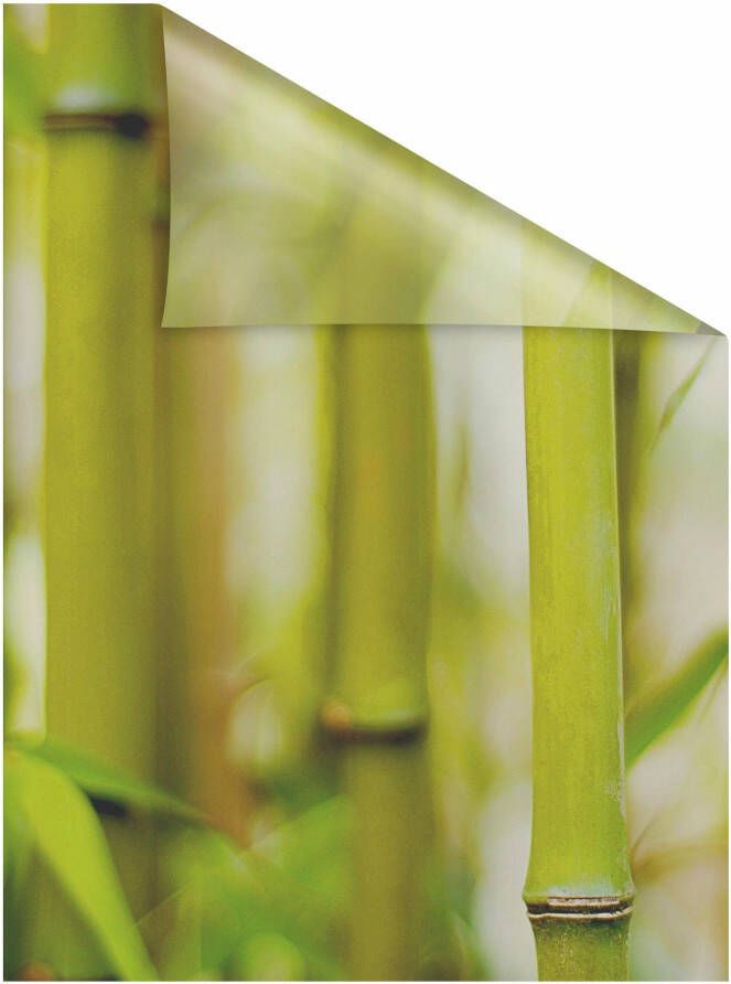 LICHTBLICK Raamfolie Bamboe (1 stuk)